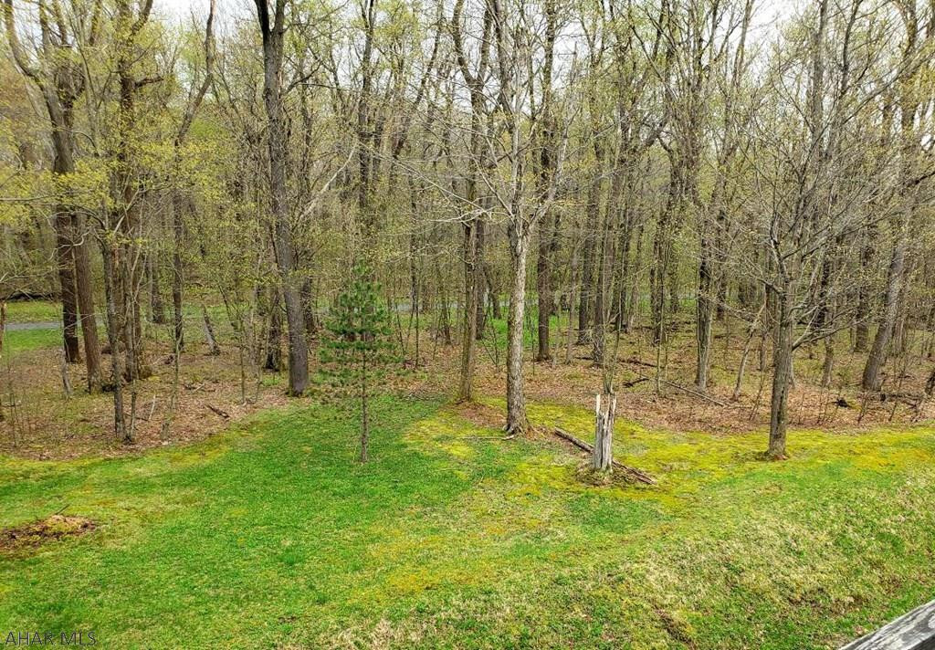 Blue Knob - Residential