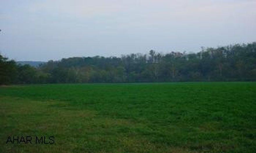 28 +/- ACRES WITH  FRONTAGE ON RT 22  IN PORTER TOWNSHIP IN HUNTINGDON COUNTY.FARMLAND WITH COMMERCIAL POSSIBILITIES. LARGE COMMERCIAL BUILDING ON PROPERTY. 28 +/-ACRES WITH  FRONTAGE ON RT 22 , PORTER TOWNSHIP IN HUNTINGDON COUNTY.FARMLAND WITH COMMMERICIAL POSSIBILITES. LARGE COMMERCIAL BUILDING ON PROPERTY.