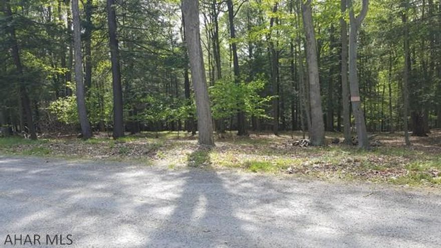 REDUCED!!!!!!! SELLER IS MOTIVATED!!!!!  Beautiful 3/4 acre lot inside Glendale Yearound. 50% bigger than average home site. W/S, Electric, Cable, Telephone, Internet, etc. are available. Great site to build a home or a cabin. Glendale Yearound is a gated community located minutes from Glendale Lake and Prince Gallitzin State Park. Seller is negotiable and will consider offers.