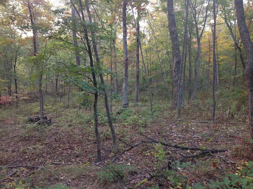 LOOKING for a perfect place to build a home, hunting camp or just a place to go 4 wheeling at an affordable price...Property is perked and electric runs on property.  Road frontage as well.