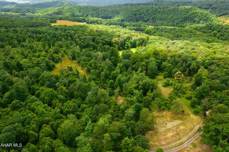 Searching for a beautiful parcel of land to build, hunt, ATV, or just getaway from it all? Look no further than this 72.71 acre property resting in scenic southern Bedford County, PA. Open and wooded, a spring and trails throughout. Open areas were used for food plots and this parcel has produced some exceptional whitetail hunting results. Convenient location close to I-68, I-99, the PA/MD border and Rocky Gap Resort and State Park.