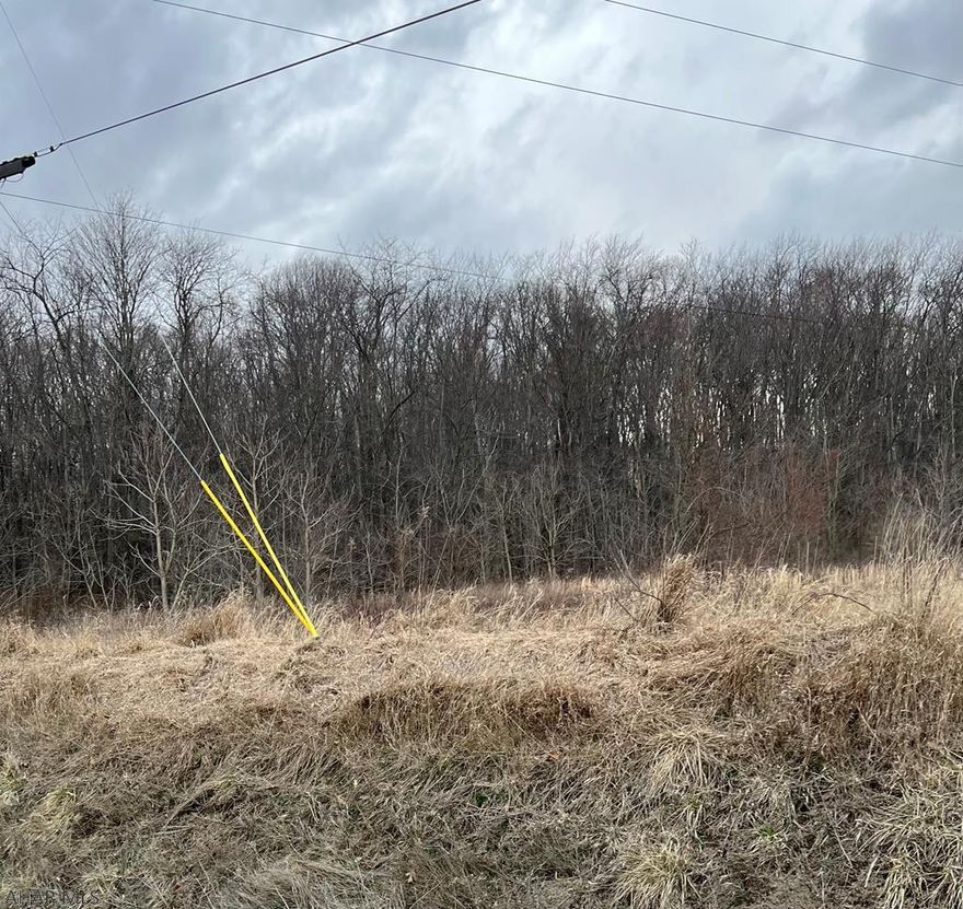 One acre of ground on Sproul Mountain Road.  No septic or well established.