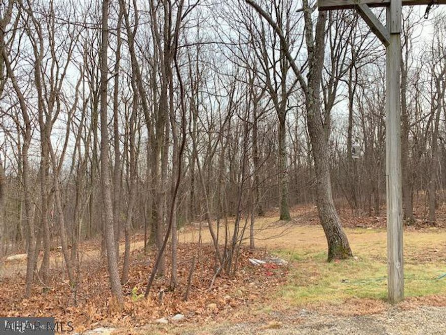 Calling all deer hunters and all wilderness lovers.... This wonderful cabin sits at the edge of the Buchannan State Forest....close to ATV trails and excellent hunting. Not far from Lake Raystown for all your boating and fishing adventures. A real outdoorsman~s retreat.