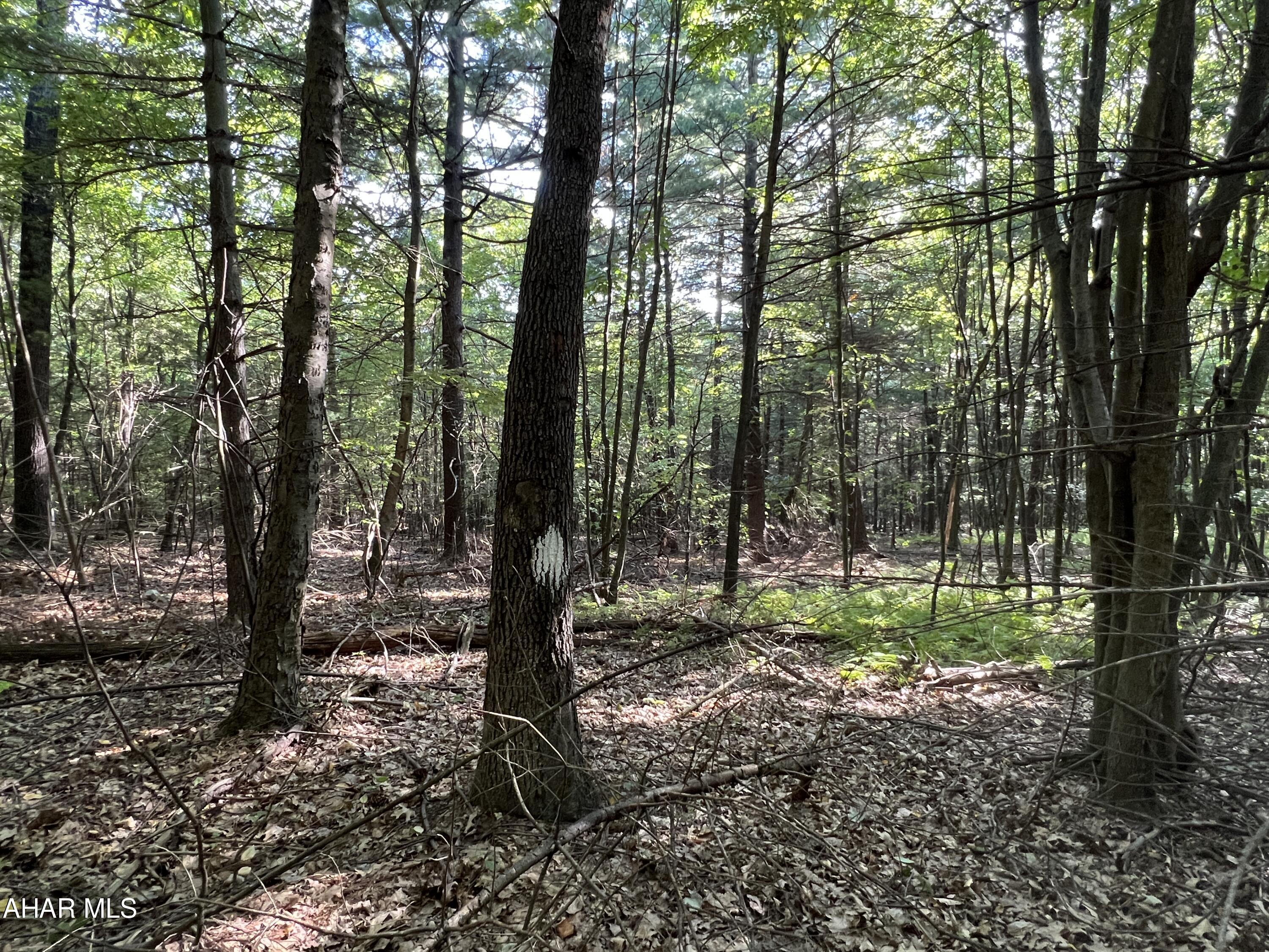 None - Commercial Sale