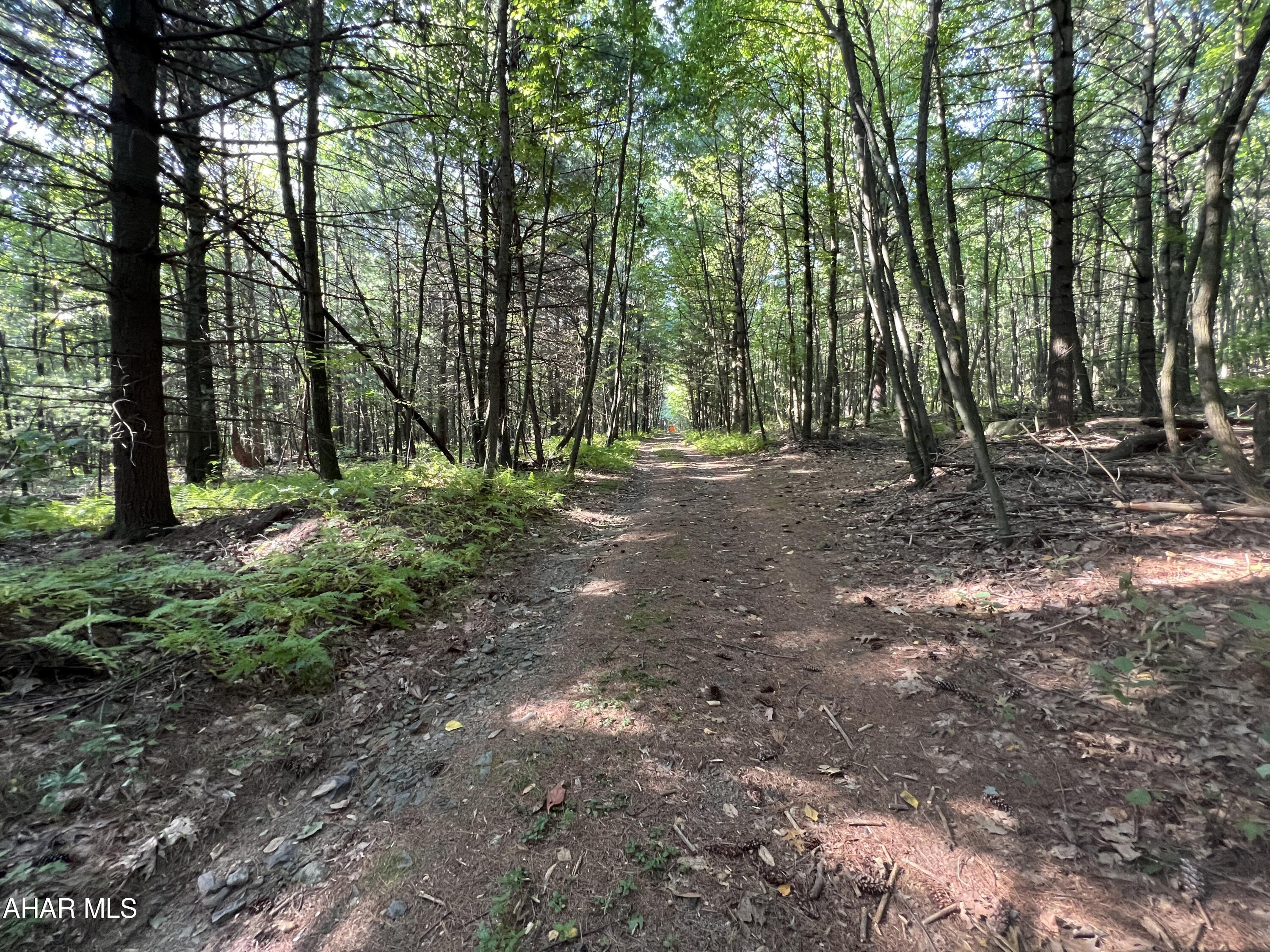 None - Commercial Sale