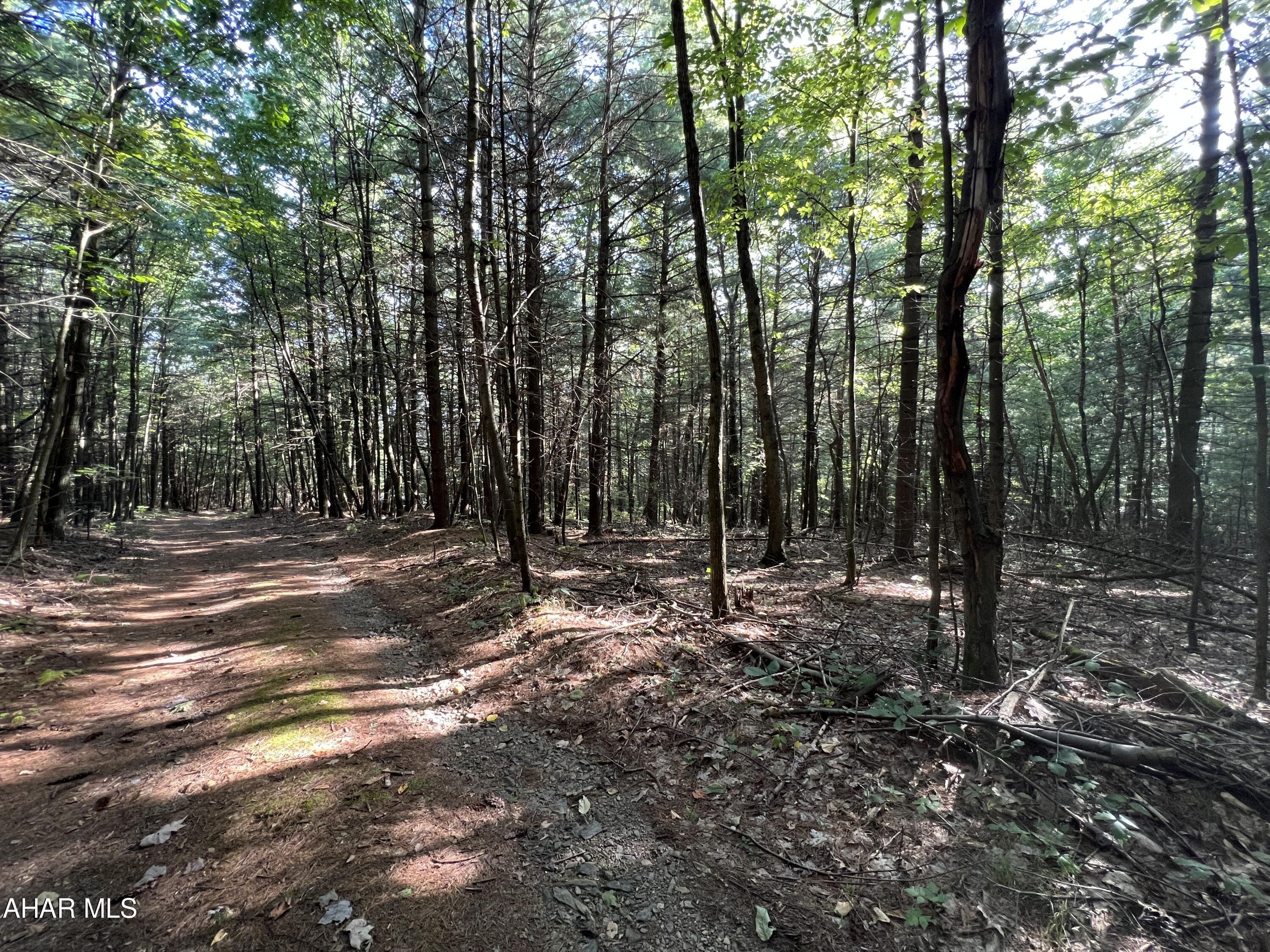 None - Commercial Sale