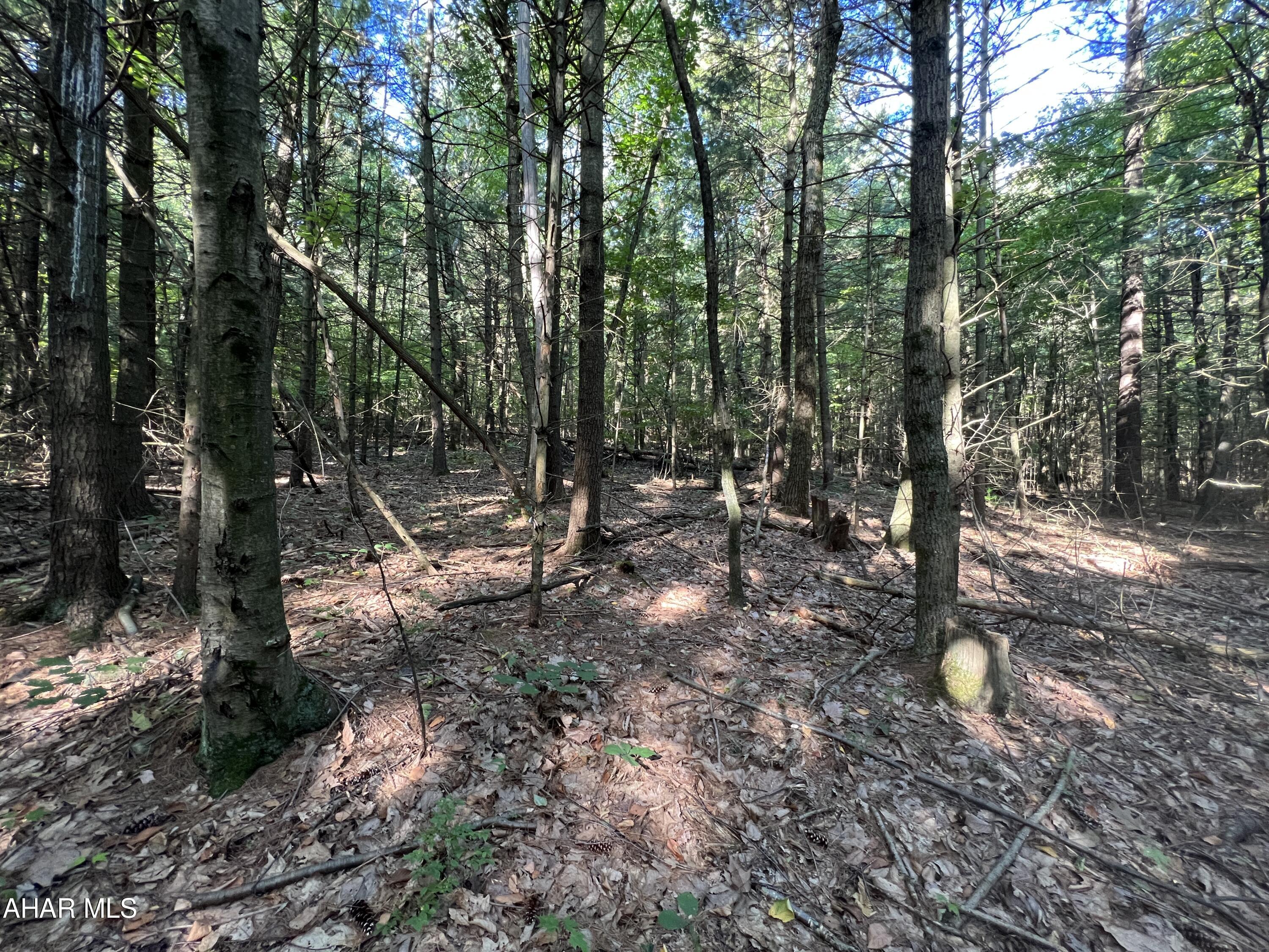 None - Commercial Sale