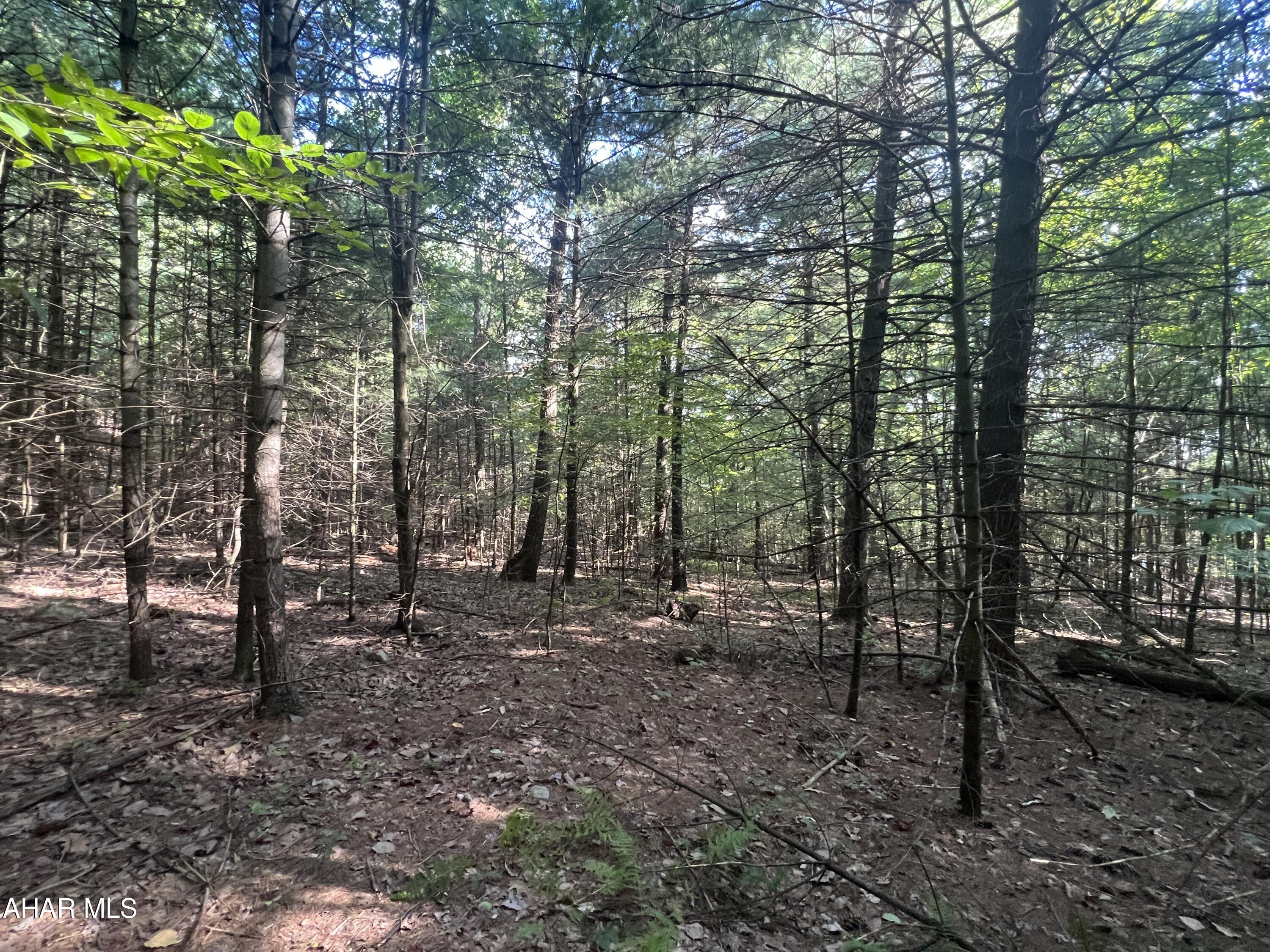 None - Commercial Sale