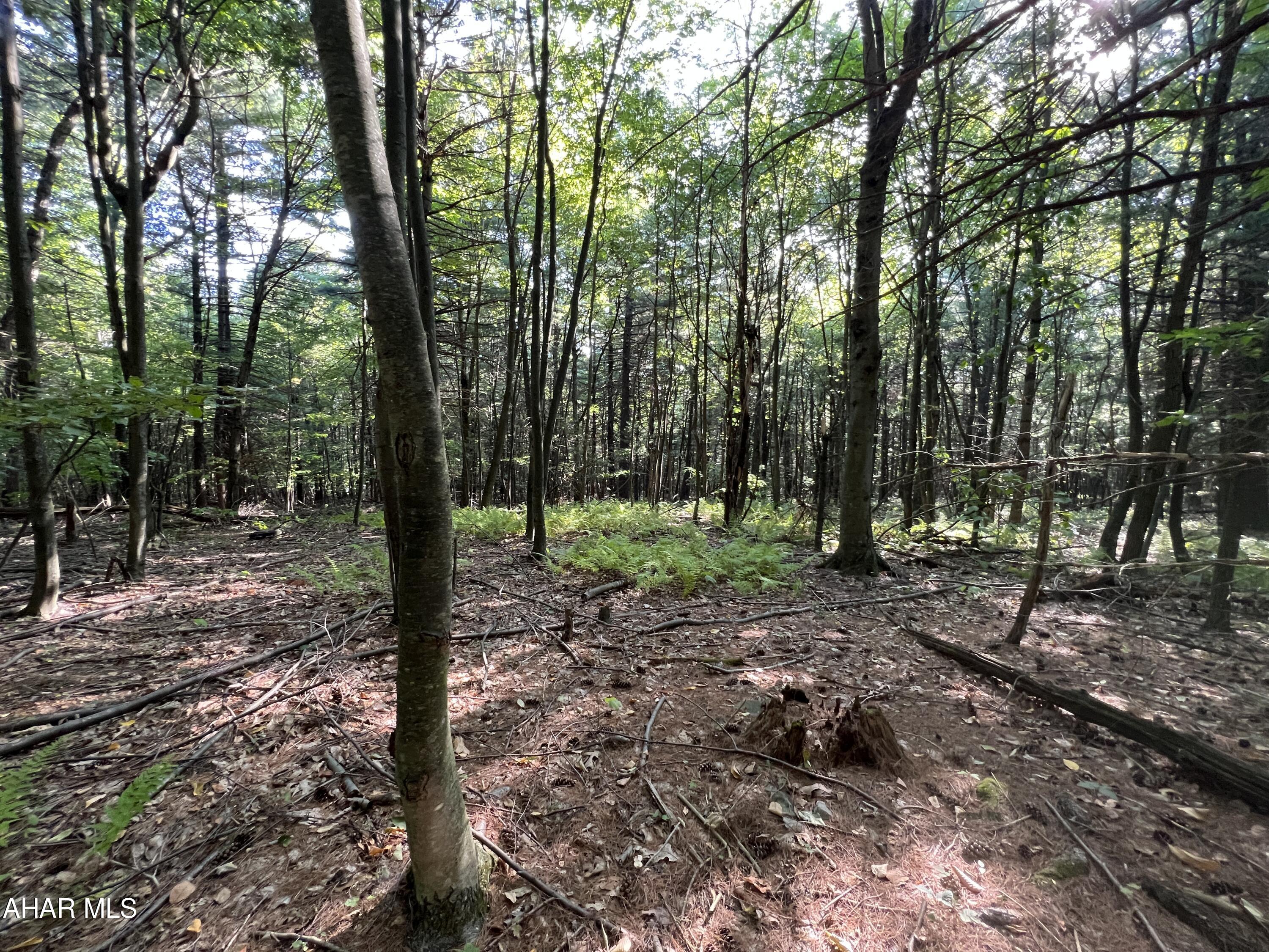 None - Commercial Sale