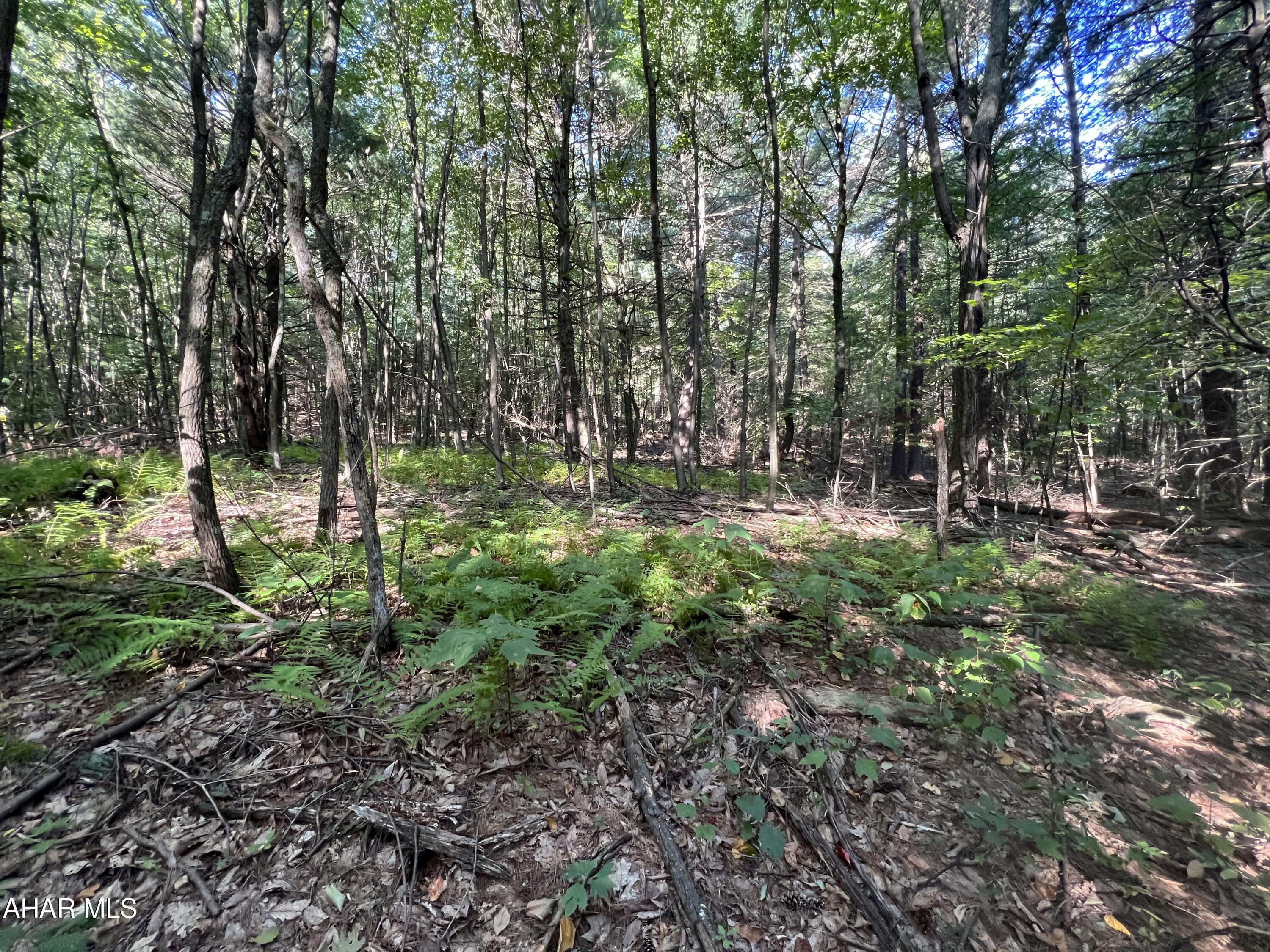 None - Commercial Sale