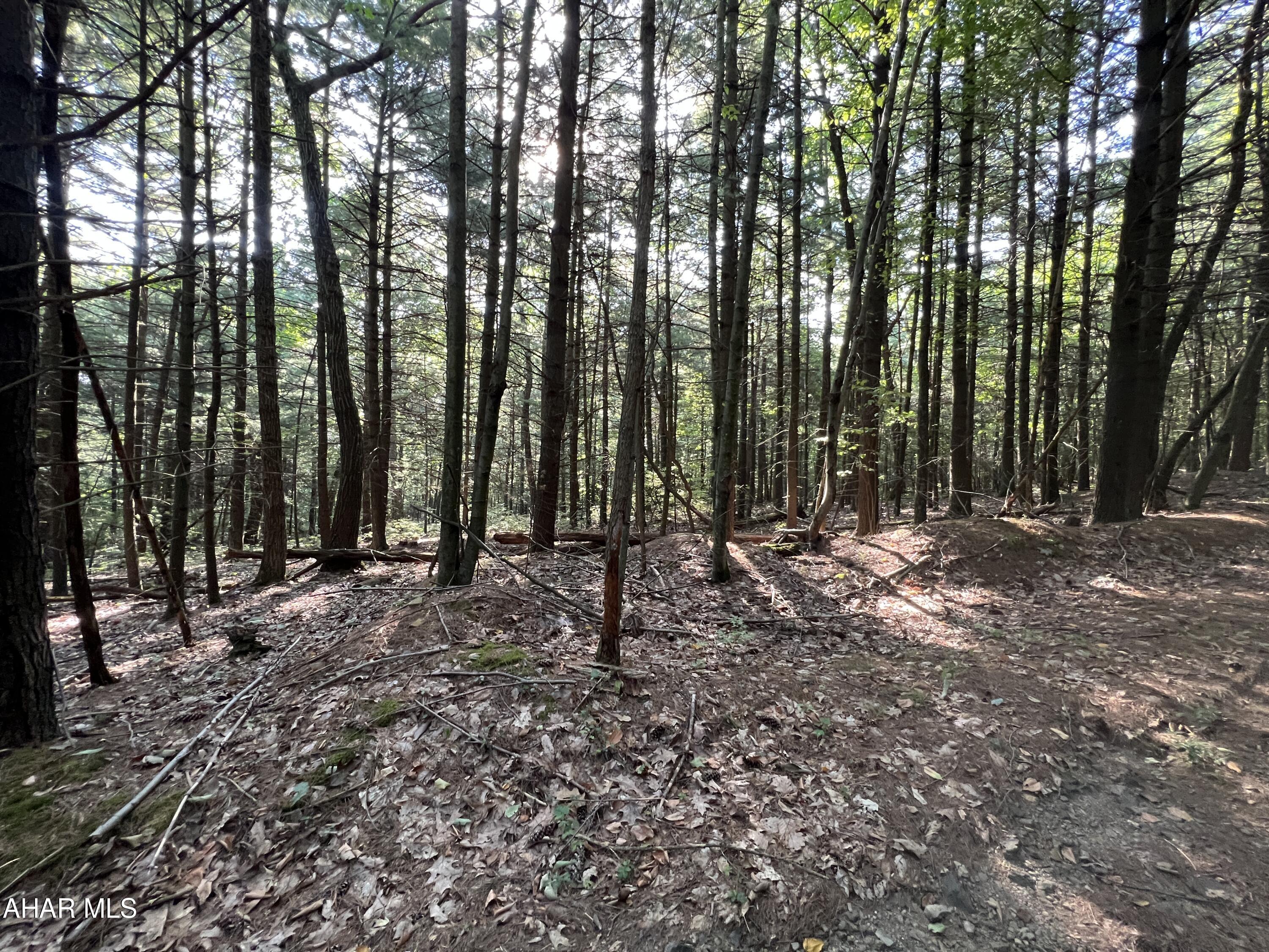 None - Commercial Sale