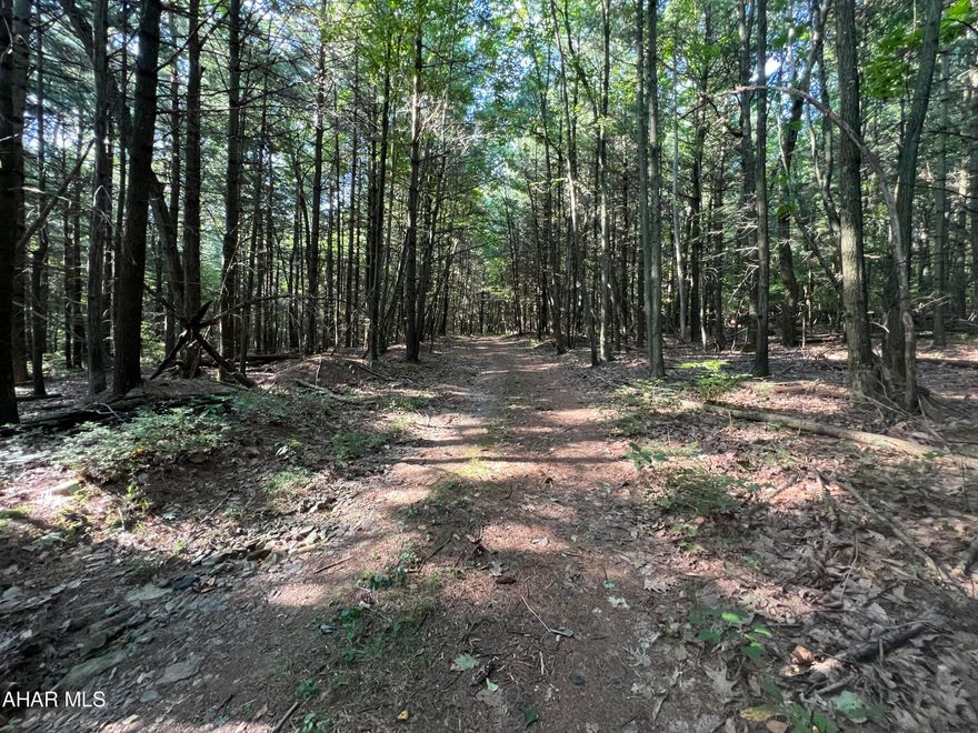 Nice wooded parcel of land consisting of 6.99+/- acres bordering the Buchanan State Forest. Would make a nice location to build a getaway or hunting camp.