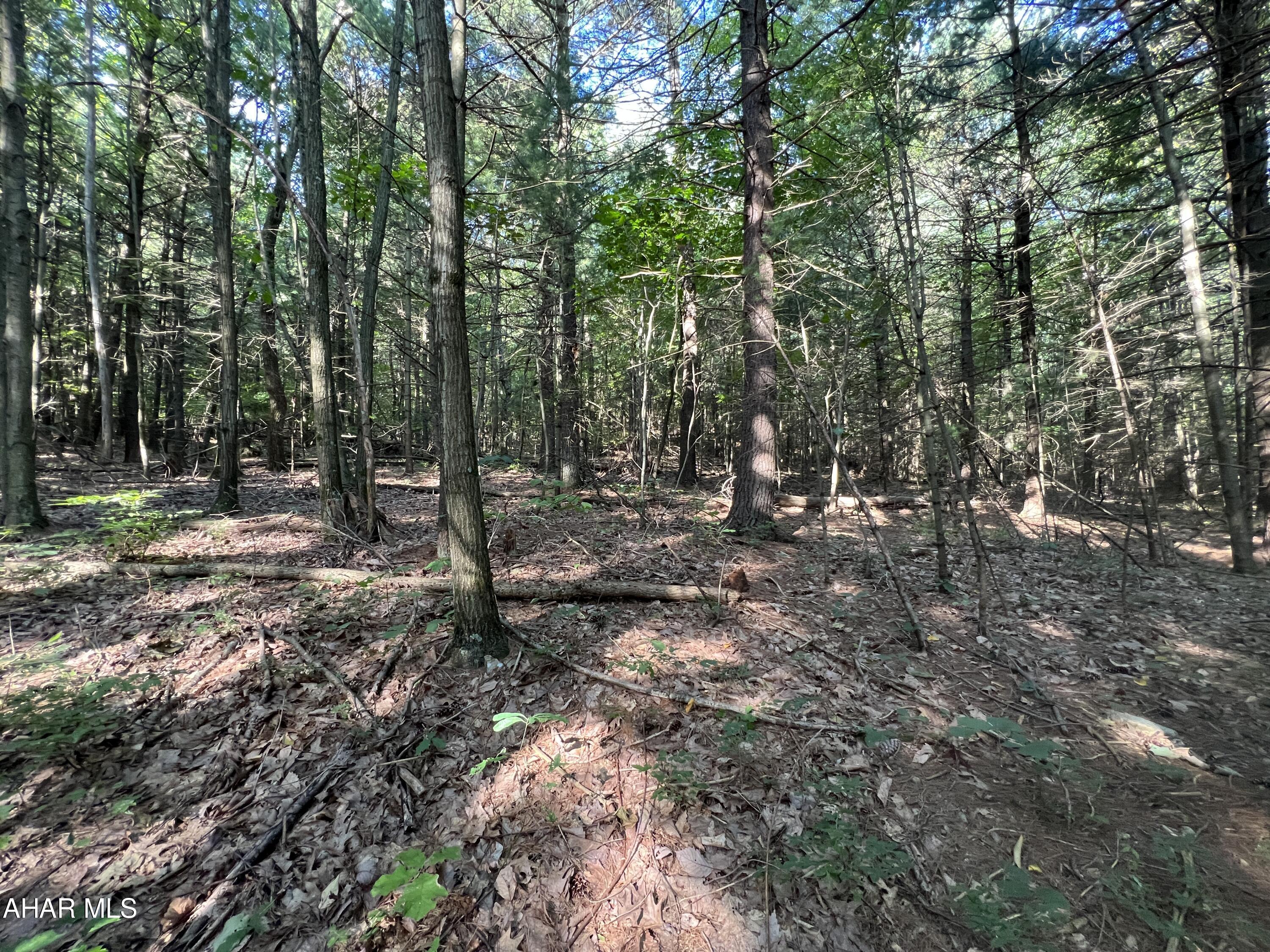 None - Commercial Sale