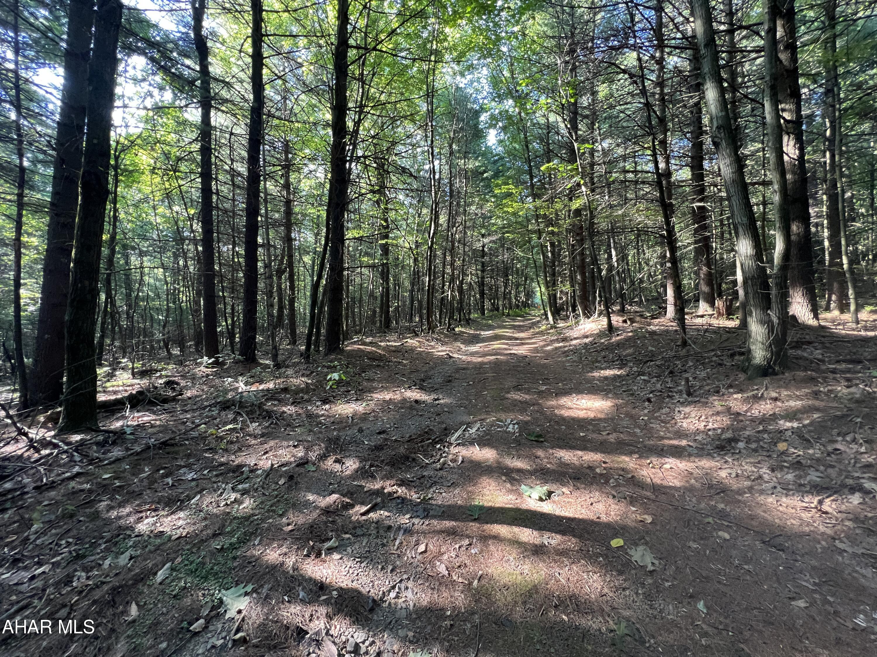 None - Commercial Sale