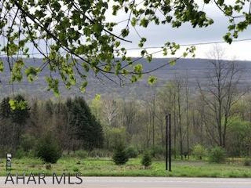 Prime location with 200 ft. of road frontage on Rt 220 in Antis Township. Just off interstate 99! Level cleared lot ready for your business development.