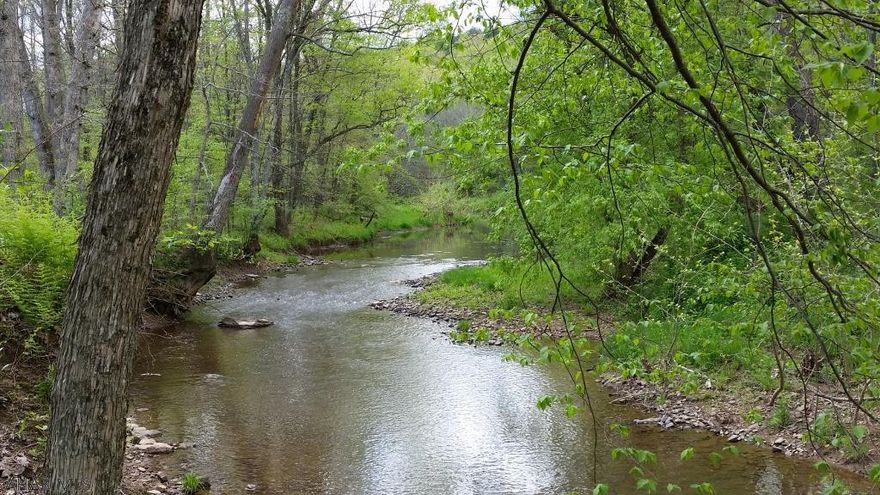 Views, open field, grove of pines, some woods to a stream in the back of property. This ground has it all. Just what everyone is looking for, a little slice of Bedford county. Wildlife in abundance or perfect for your dream home. 15.9 acre survey available.