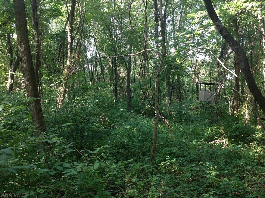 If you are looking for a dream home building site with a view or a place to build a weekend getaway or just hunting ground, or to put a business on here is 12.11 acres with entrance off of route 30.there is a abundance of wildlife and privacy.