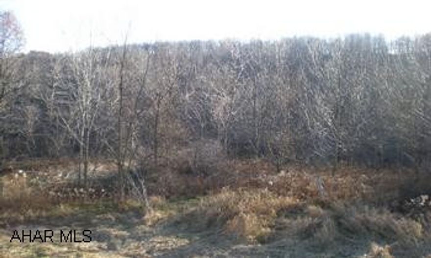 Wooded acreage with small stream. Hard road frontage.  Privacy yet close to the city.  Varying terrain.