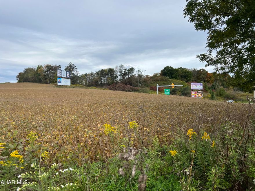 The property has good visibility and frontage on Rt 22 (no access) with access off Ebony Road off the Wilmore Road. Water and Sewer are at the Wilmore Road, approx. 400+ ft to property. Land lays nice with a gentle slope and is currently being farmed. Could be good for either residential or commercial.