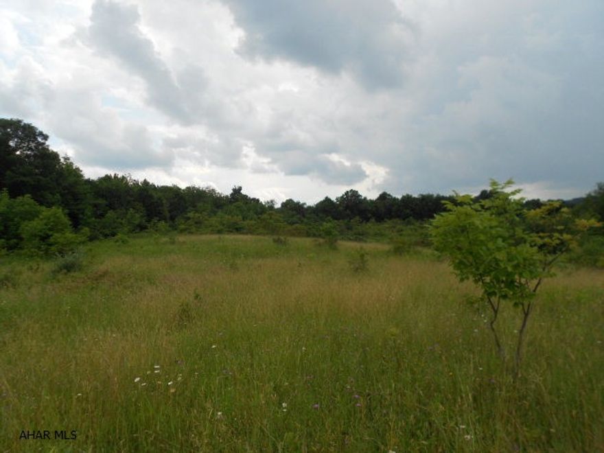 11.8 acre parcel. Seller reserves on deed a 50' right of way for ingress & egress to parcel 9-10-8. Buyer responsible for any road improvement.   #J-244