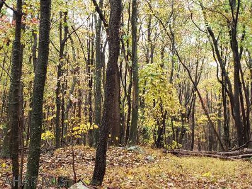 Wooded parcel of ground - great for hunting. Survey in 2021 shows 27.489 Ac. (Tax card had shown 25 Ac). Sellers are executors of estate & property sold as is.  Special Warranty Deed. J-553