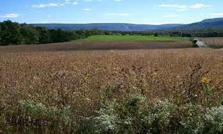 INCREDIBLE VIEW OF SINKING VALLEY. BUILD YOUR DREAM HOME. 2.209 ACRES. PERK TESTED. ONE OF THE MOST INCREDIBLE VIEWS OF SINKING VALLEY. PRICED TO SELL. CALL WALLY ROSSI X122.