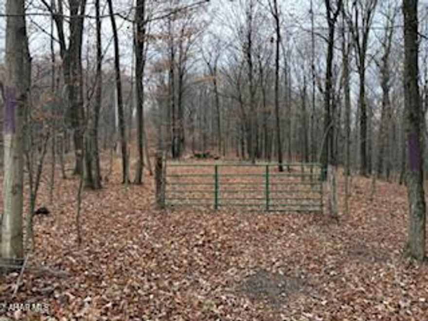 102 ACES OF FANTASTIC PRIVATE HUNTING WOODED  GROUND WITH PRIVATE ENTRANCE.  THIS PARCEL IS ONE OF THE FINEST 102 ACRE PLOTS I HAVE EVER LISTED . IT HAS MATURE TIMBER AND ELECTRIC AVAILABLE ON PROPERTY .WILDLIFE INCLUDING DEER, BEAR & TURKEYS ARE IN ABUNDANCE. DONT LET THIS PROPERTY GET AWAY. PROPERTY HAS BEEN SURVEYED AND WILL BE GLAD TO WALK PROPERTY WITH APPROVED BUYERS. PROPERTY IS FLAT AND SLIGHTLY SLOPED RIDGE GROUND .VERY EASY WALKING .LOTS OF LOCATIONS TO BUILD A HOME OR CABIN.