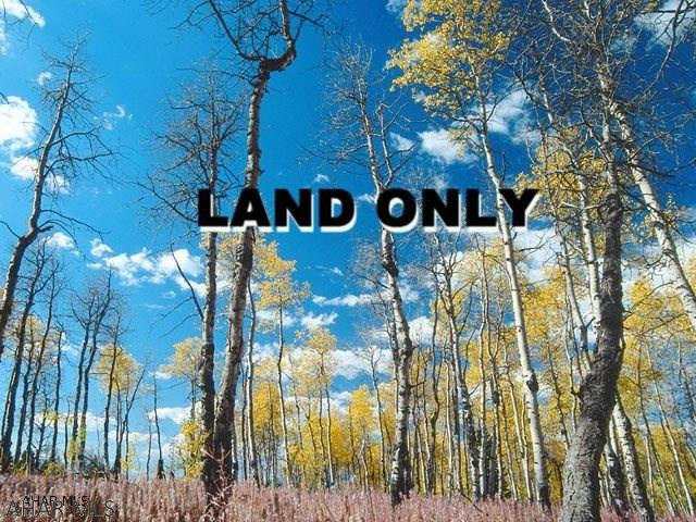 Other - Land