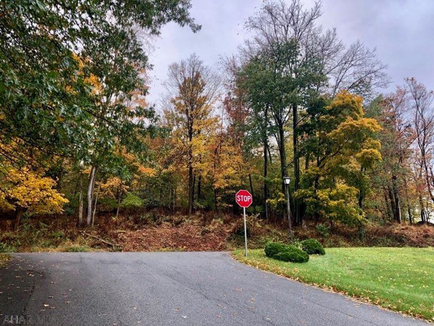 Build your new home on this hard-to-find double lot located within walking distance to Downtown Bedford. This wooded lot has lovely views of the surrounding mountains. Public water and sewage taps are already paid for and in place - just pay the costs to hook in. Take advantage of this ideal location and enjoy being close to all of the retail shops, antique shops, restaurants and the many events that downtown Bedford offers. Enjoy the nearby walking trail that will take you to other treasures like the Fort Bedford Museum and the historic Omni Bedford Springs Resort. Did I mention you are just minutes to multiple golfing venues, a short drive to Shawnee State Park for more hiking, swimming, fishing or boating and Blue Knob Ski Resort for winter fun. Don't miss this opportunity!