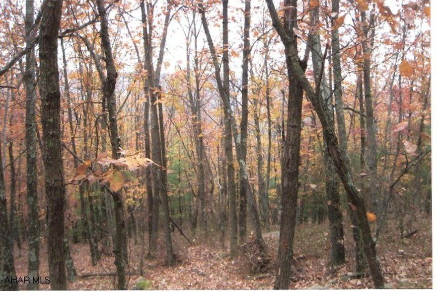 34.12+/- acres of hunting ground close to the MD border. Peace and quiet mountain land. Own your own piece of paradise. Buyer will need to have a survey.