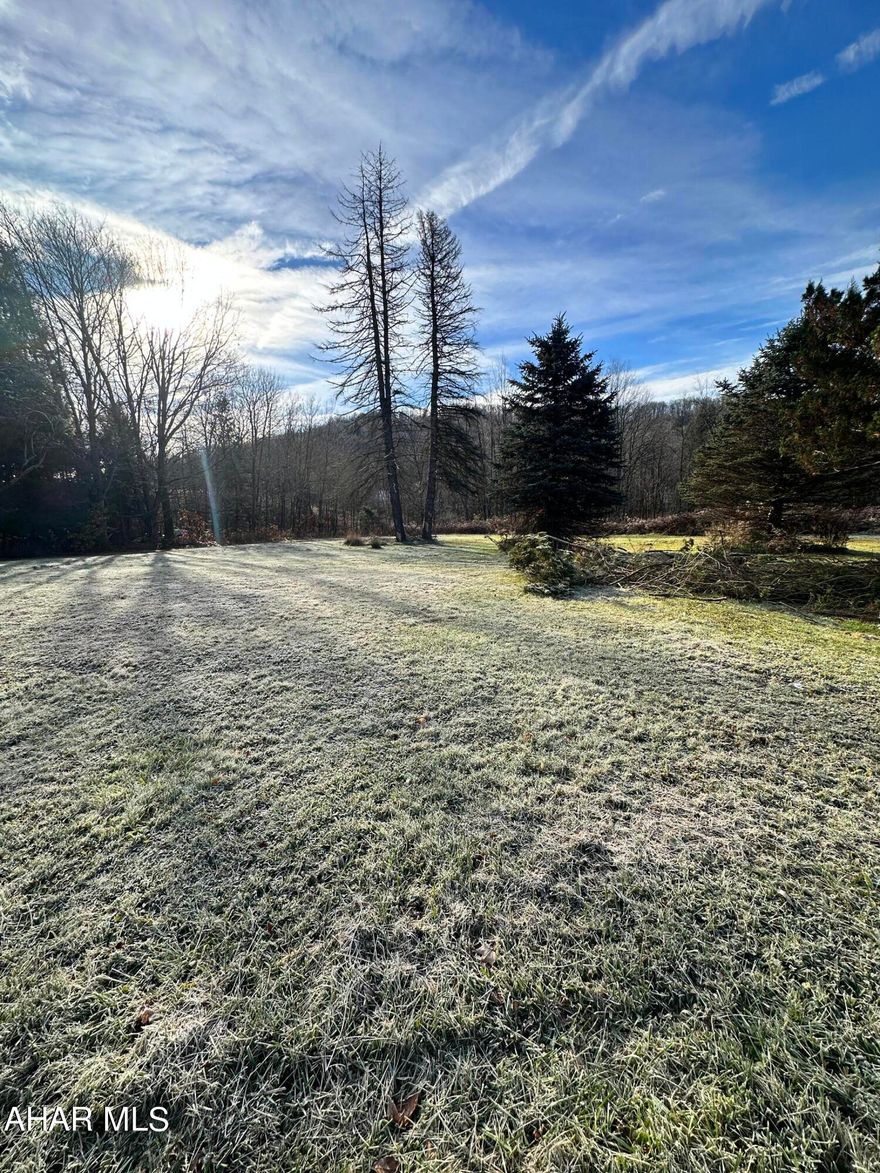 This 1 acre lot is conveniently located off Route 219 with no zoning. Great ideal location for your home or business.