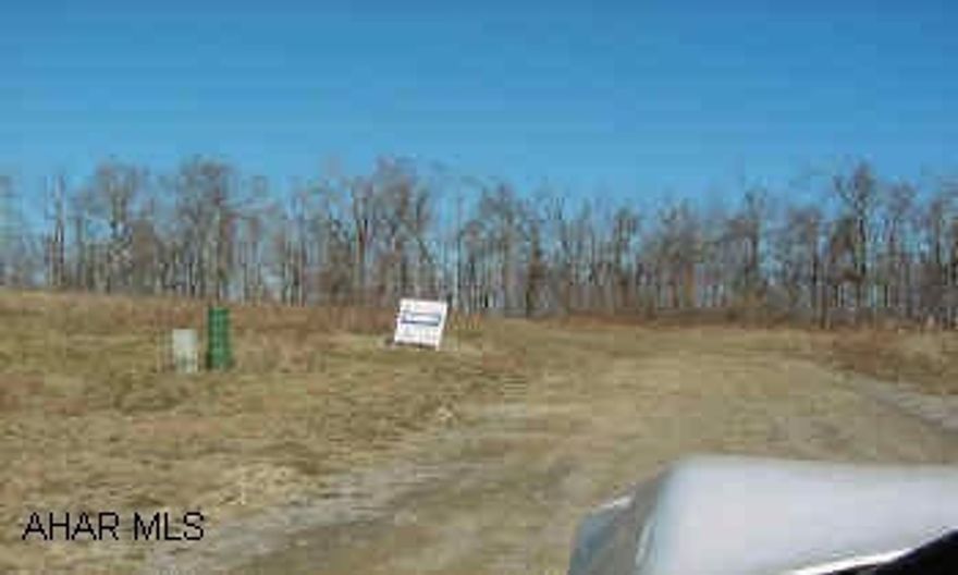 OPEN FIELD WITH VIEWS, SOME NEW HOUSES AROUND, TREES BOARDER ON SIDES & REAR. LAND!  3.46 ACRES IN GALLITZIN TWP.  WITH NO ZONING OR RESTRICTIONS.  NICE AREA.  SOME NEW HOMES IN SITE. GENTLY ROLLING.  NO MINERAL RIGHTS.  PERC APPROVED (SANDMOUND). GREAT PRICE FOR THIS CHOICE LOCATION - BEST LOT IN DEVELOPEMENT!!