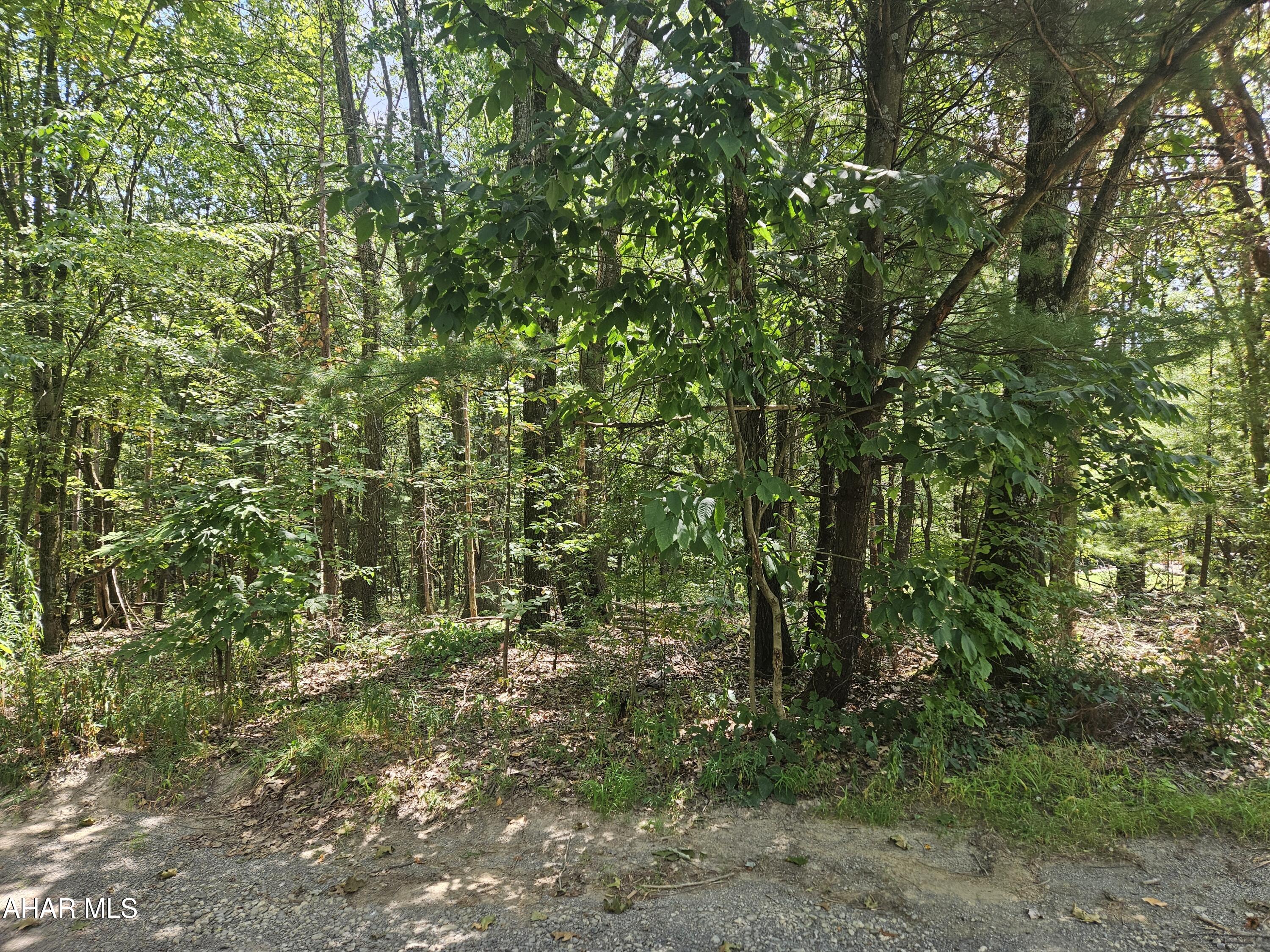 Antis Township - Commercial Sale