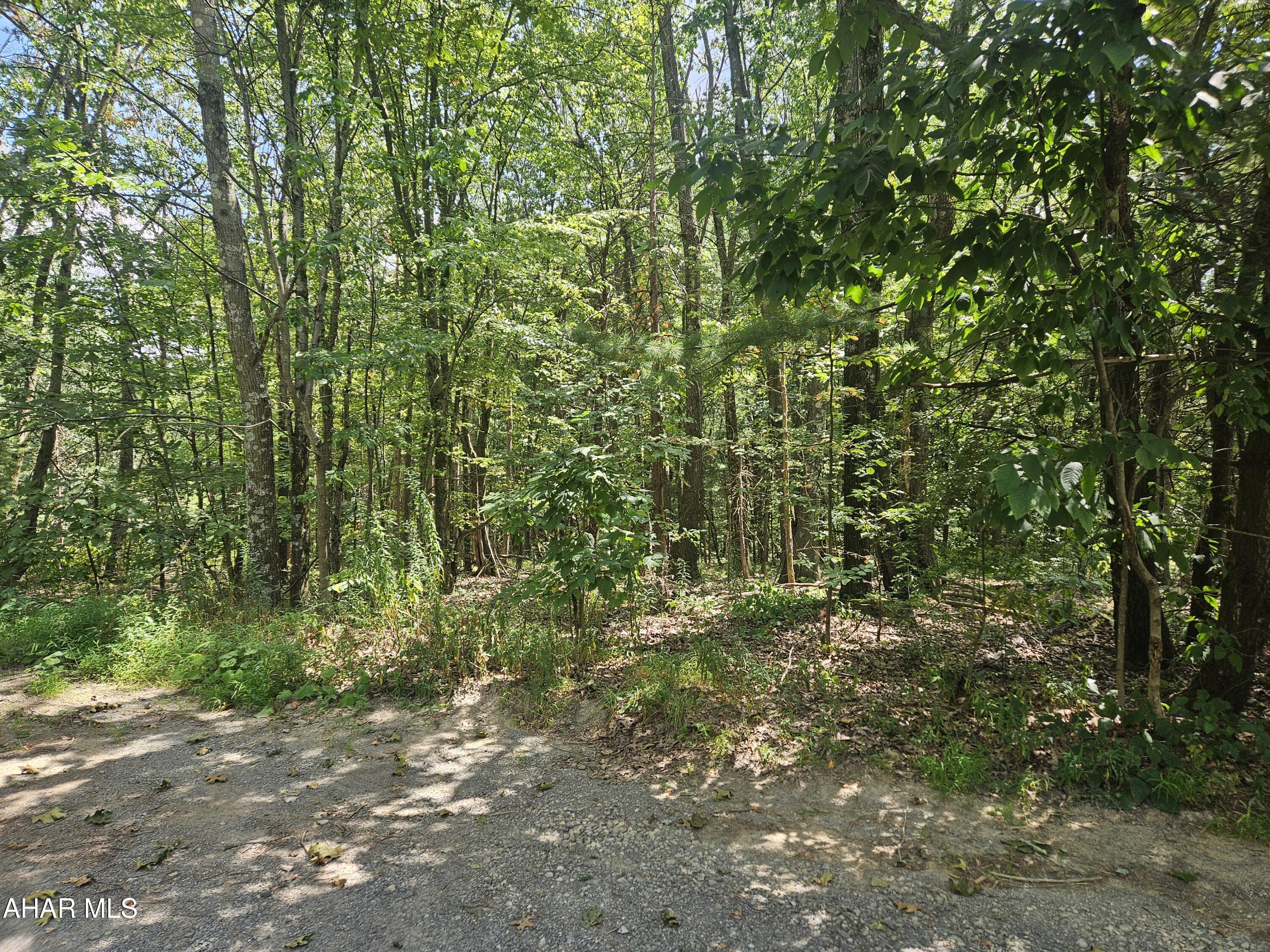 Antis Township - Commercial Sale