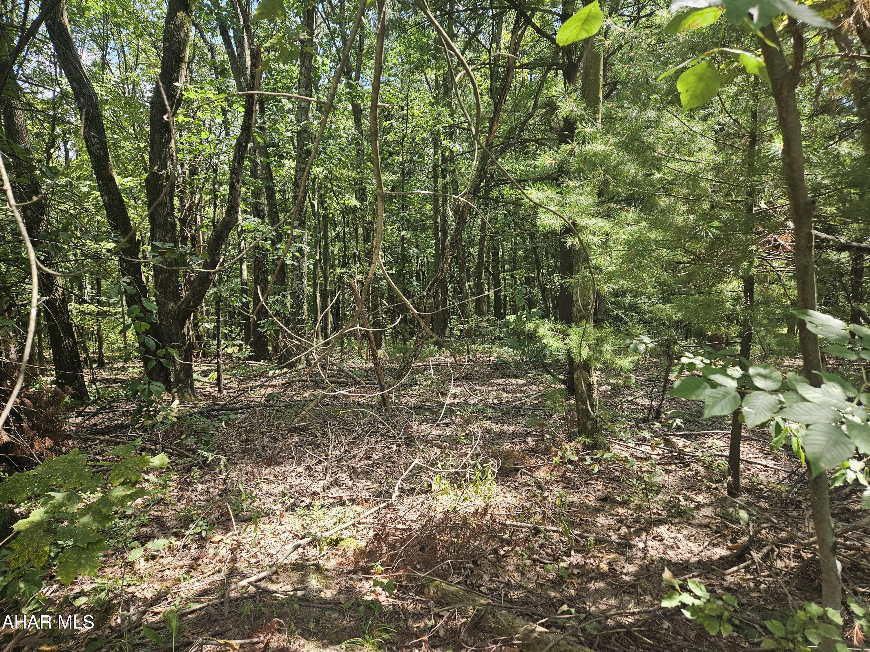 Antis Township - Commercial Sale