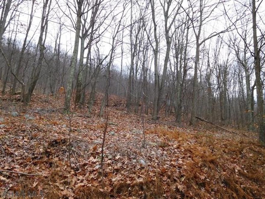 Ideal hunting or camping site with State Game Land just a short walking distance away.  Mostly wooded sloping ground with a level area for a self contain camper or build your dream get-away cottage.   Electric is accessible.