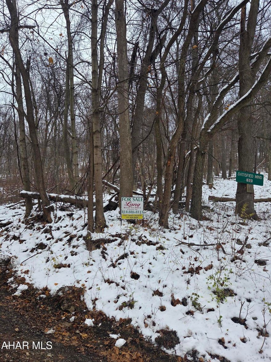 Discover the perfect blend of privacy, nature, and convenience on this beautifully wooded 15 plus acre property located just .25 mile from Juniata River, a popular destination for fishing, tubing, kayaking and relaxation.
Timber value present on the property. 
.25 mile of road frontage
Perfect setting for a hunting camp,  weekend getaway or a new homesite,
Quiet, secluded atmosphere while still close to local amenities.
Endless possibilities with this one.
Recently surveyed.