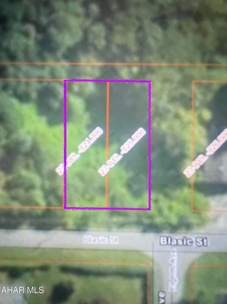 Looking to build?  Check out this double lot in Parkhill.  This property sits in East Taylor Township address is Parkhill PA zip code is 15945 Buyer to verify the availability of utilities.