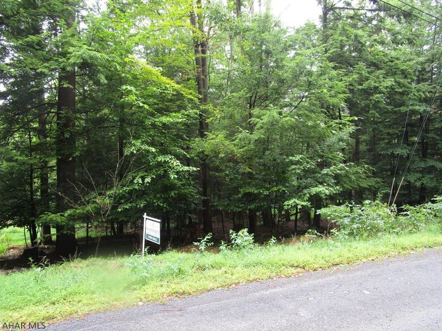 Very affordable wooded building lot in Cambria Heights School District.  City water and sewer and electricity available.  Located in Glendale Yearound, a gated recreational community.