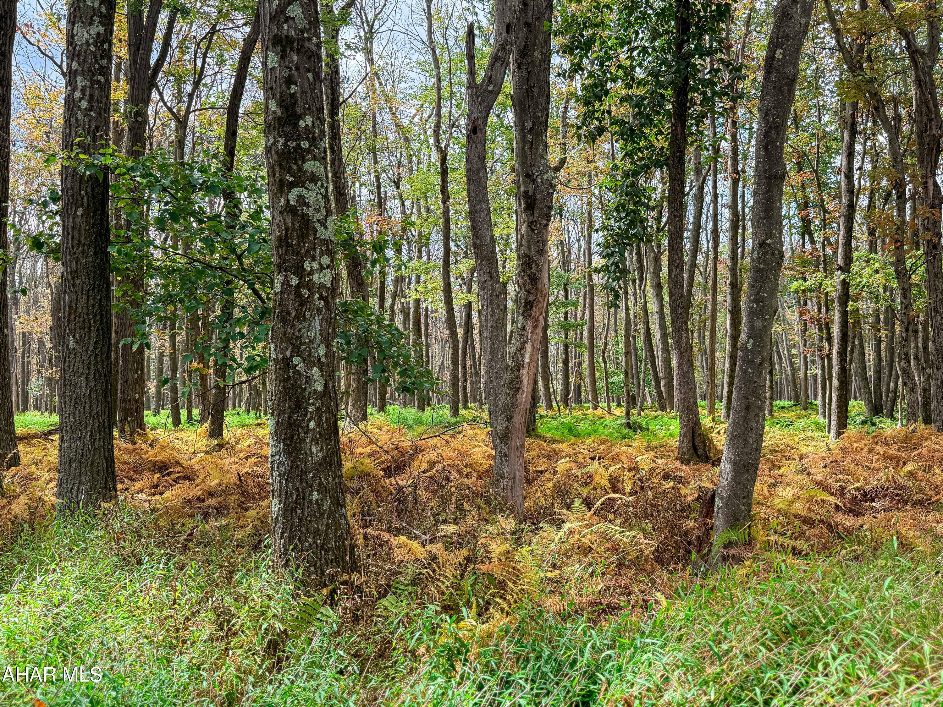 Folmont - Residential