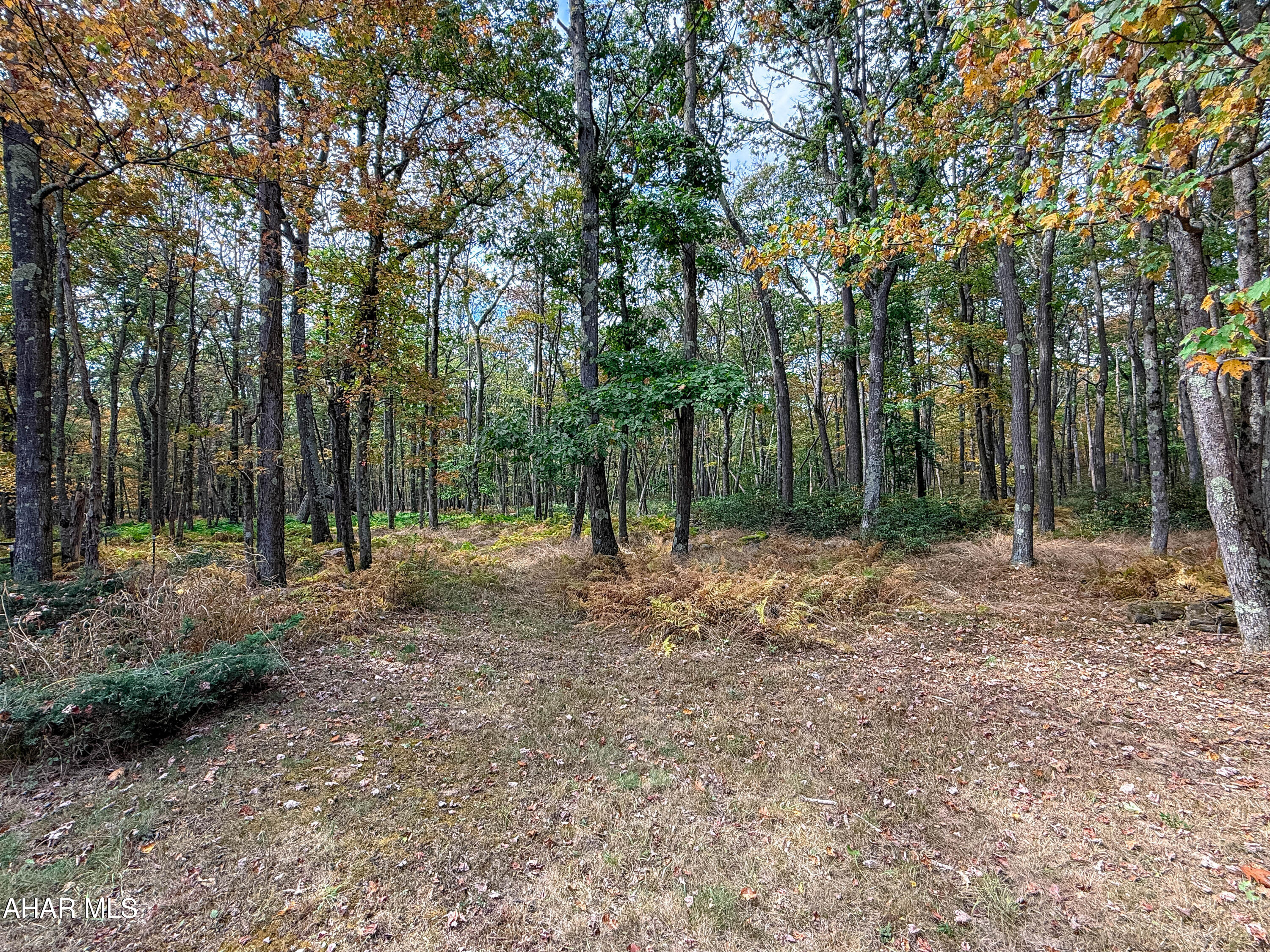 Folmont - Residential