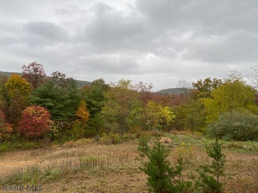 Don't miss out on the perfect opportunity to find your mountain paradise. This scenic 72 acres is located in Southern Bedford County, with an easy commute to further points east. Surround yourself with nature and wilderness. Excellent hunting, this property is jampacked with deer and turkey, with an occasional bear. Target shooting and ATVing are a must on this property. Outdoor recreation is the name of the game in this part of the country...just minutes to the state forests and state parks...fishing, hunting, biking, hiking and shooting are just a few of the outdoor adventures that this area of the county owns.