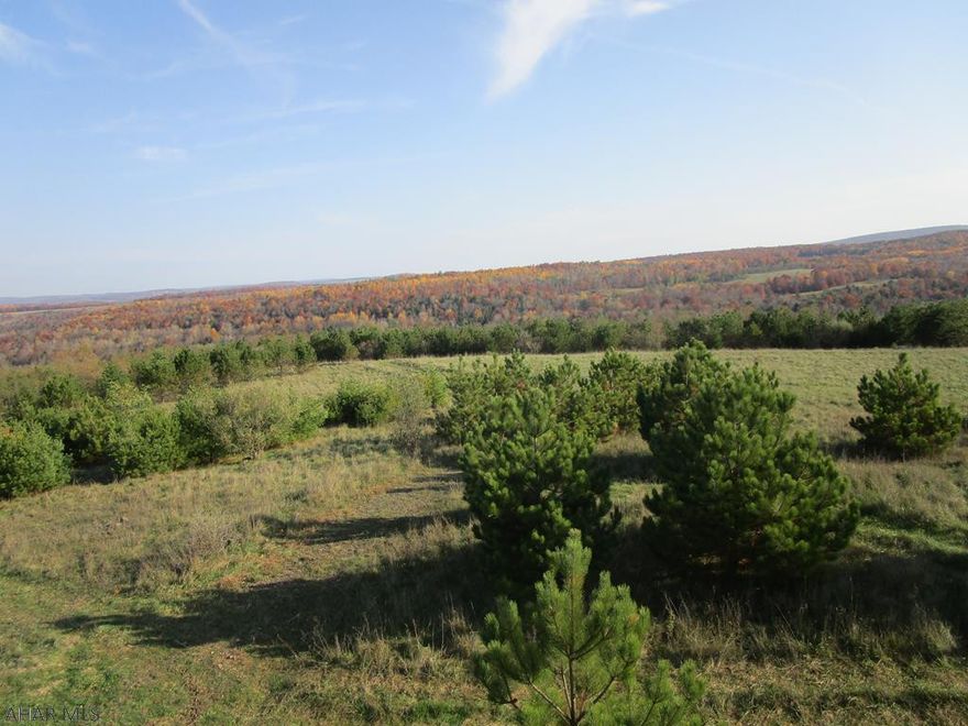 106.3 acres of hunting land with part in Clearfield County and part in Cambria County. Right of way access approx 1/2 mile in length. Approx half hour drive form Altoona this property is a hunters delight - remote with a beaver pond, 2 tripod enclosed hunting blinds, and food plots. Owners have hunted bear, deer, turkey, ducks etc here with success.