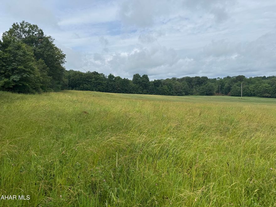 17 Acres between Carrolltown and Patton with nice hard road frontage. Approx 13 acres are tillable with the balance wooded. Property lays nice and would make a great homesite.  Nice country setting in the Cambria Heights school district.