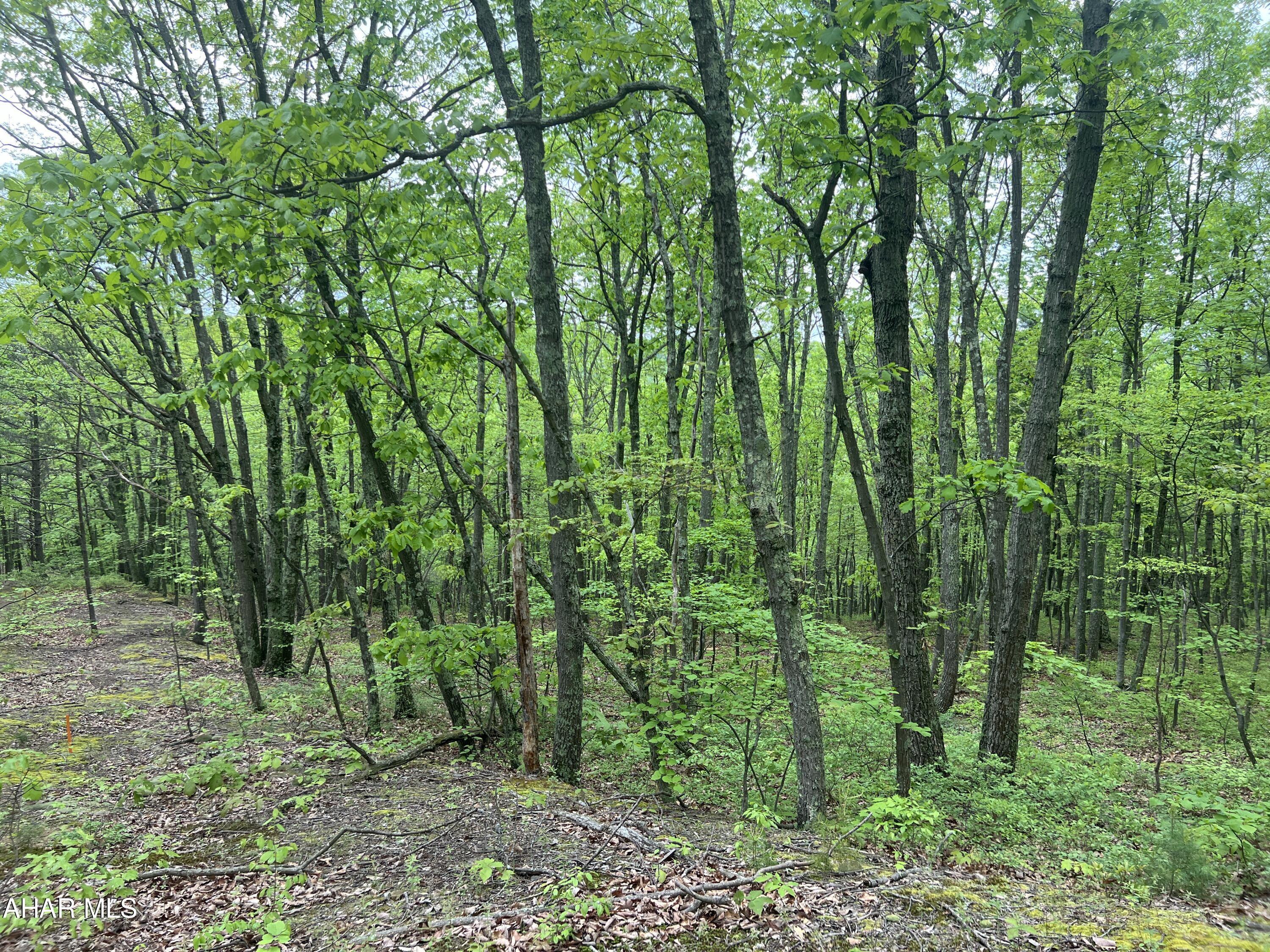 Other - Commercial Sale