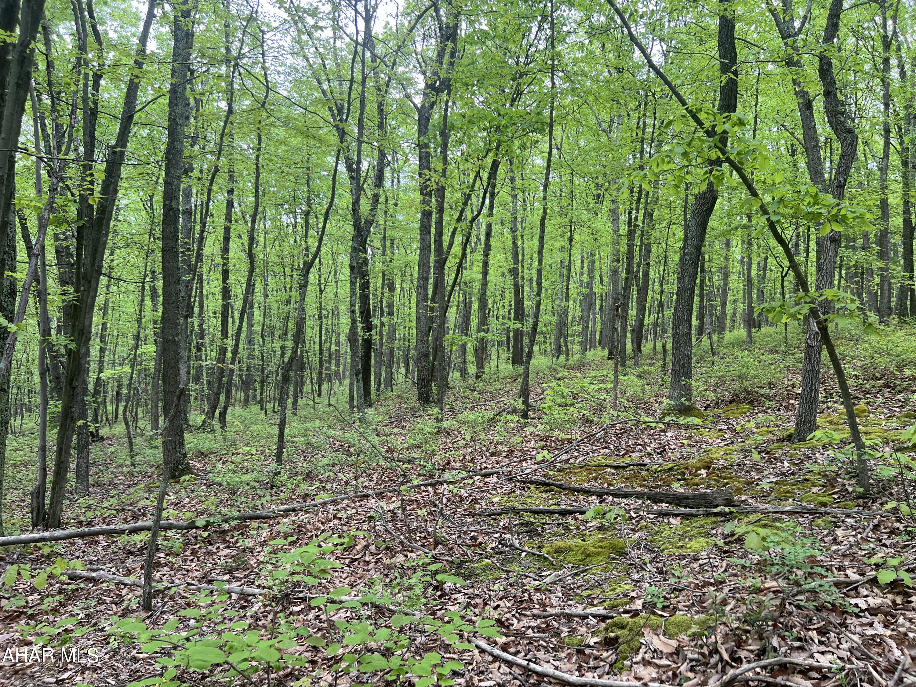 Other - Commercial Sale