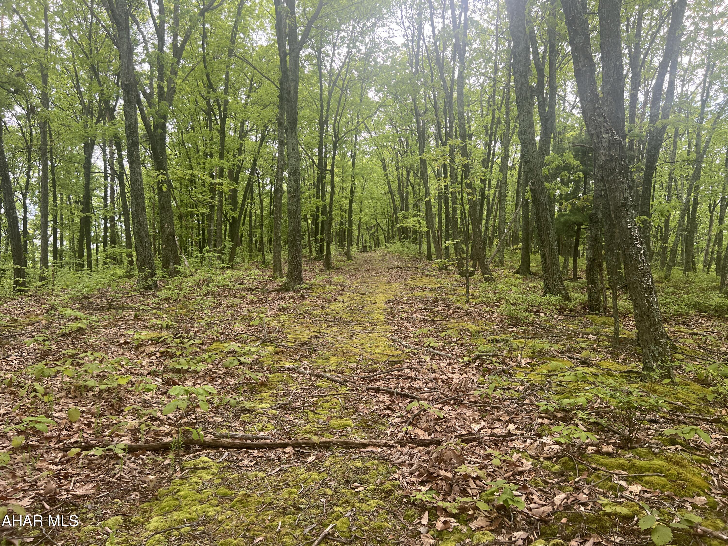 Other - Commercial Sale