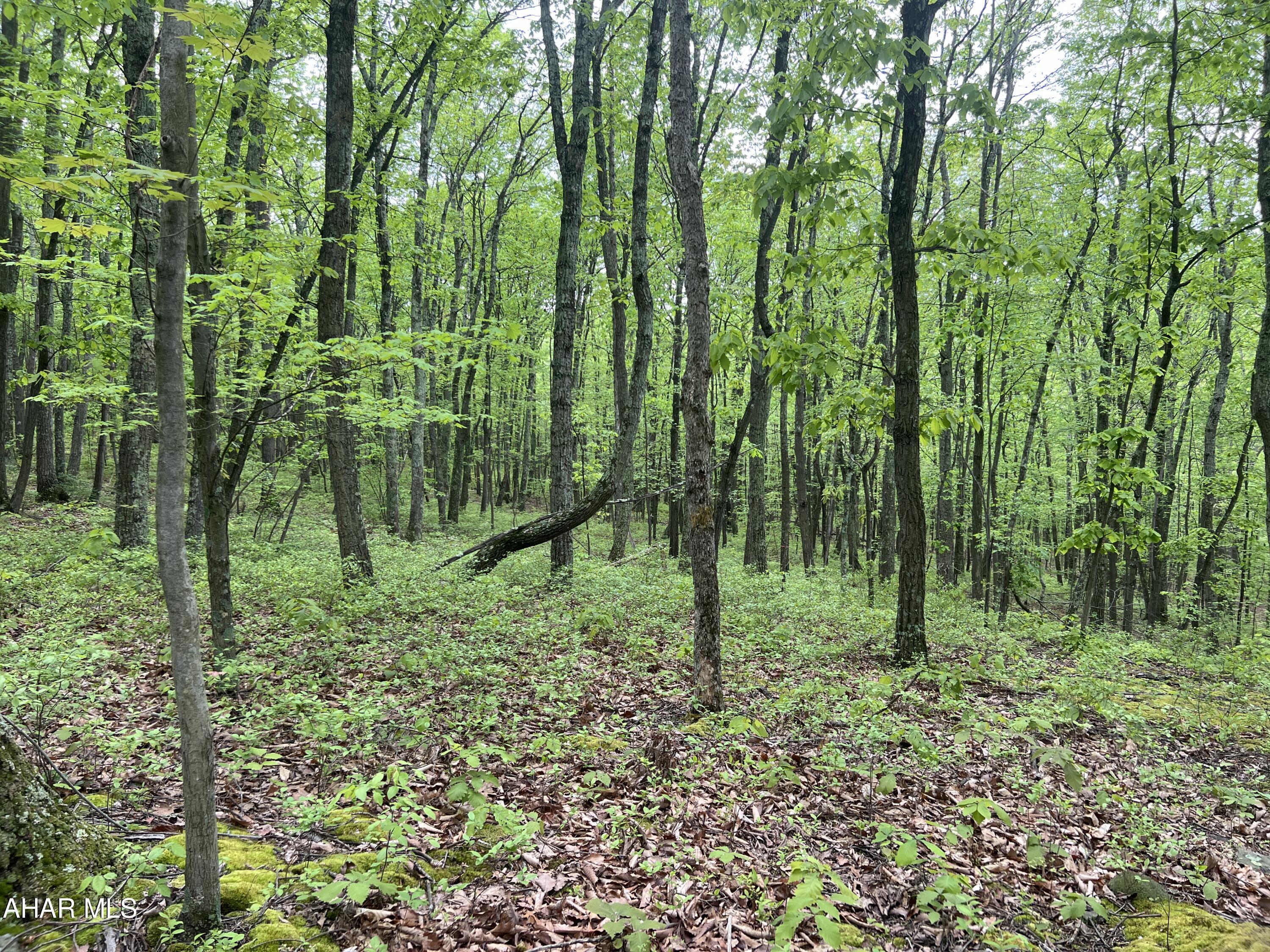 Other - Commercial Sale