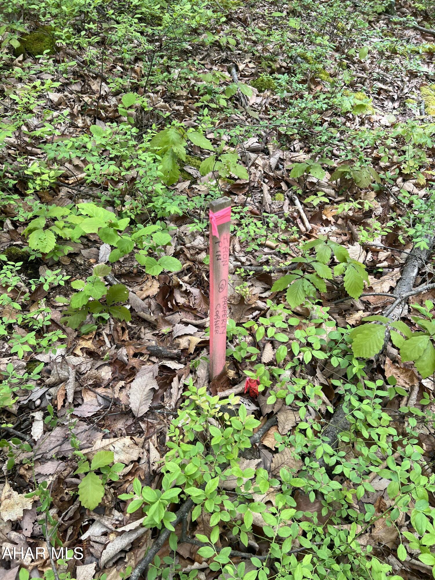 Other - Commercial Sale