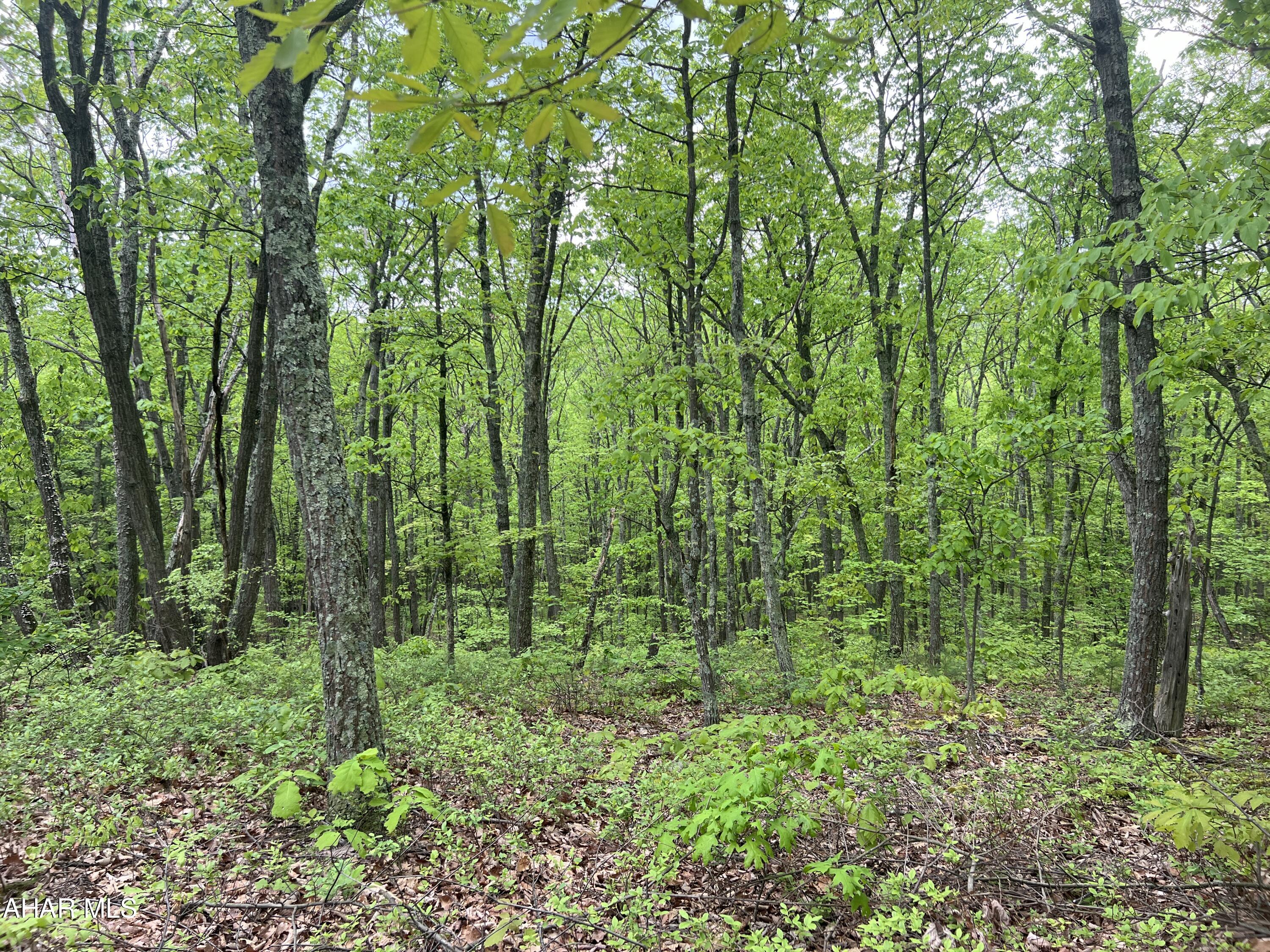 Other - Commercial Sale